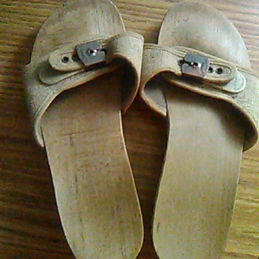 Wooden clogs